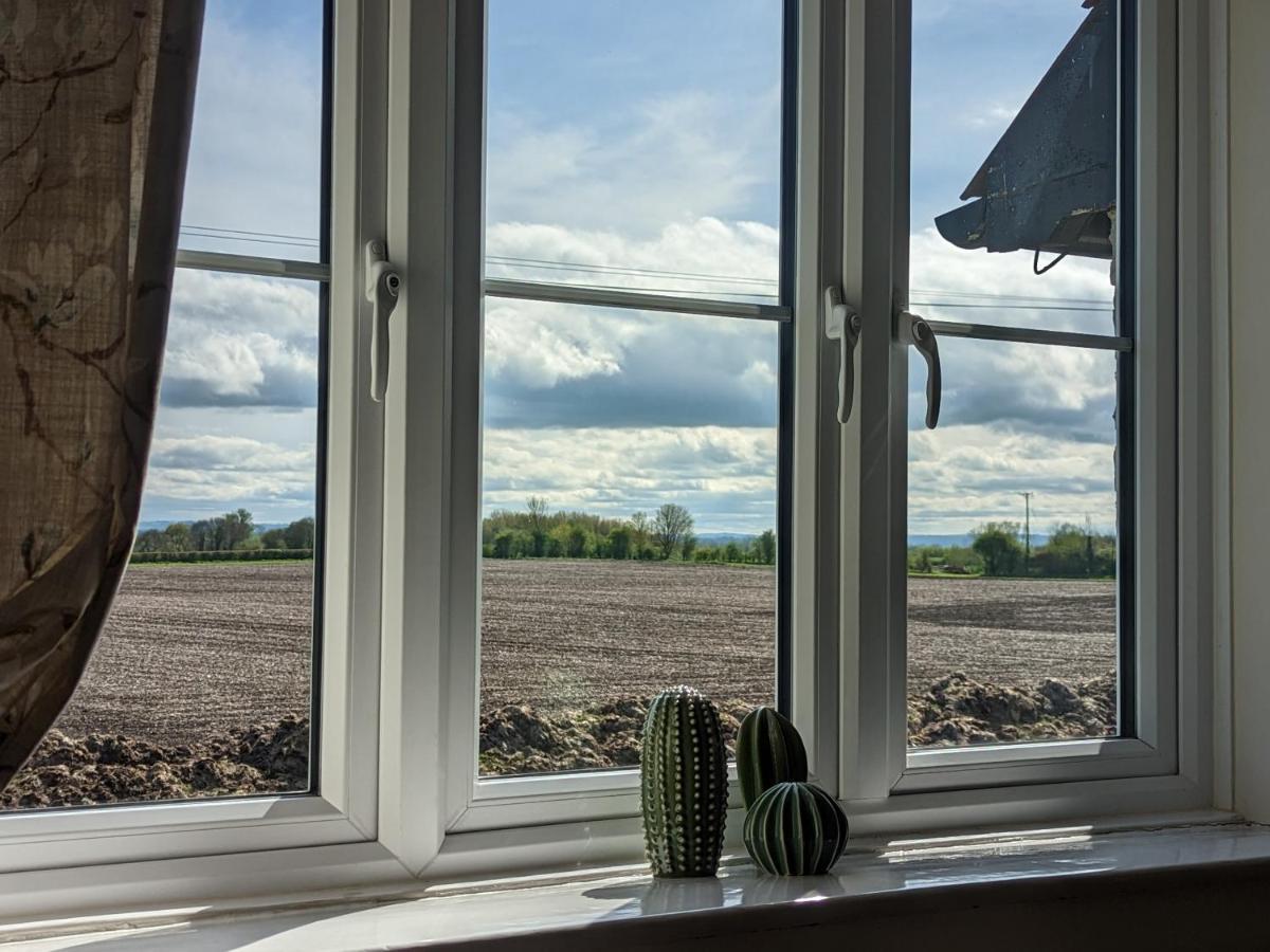 Cosy Family Cottage South Somerset Long Sutton  Bagian luar foto